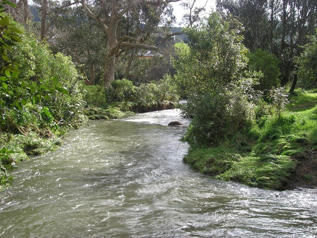 Bucket Tree Lodge Tawa Eksteriør billede